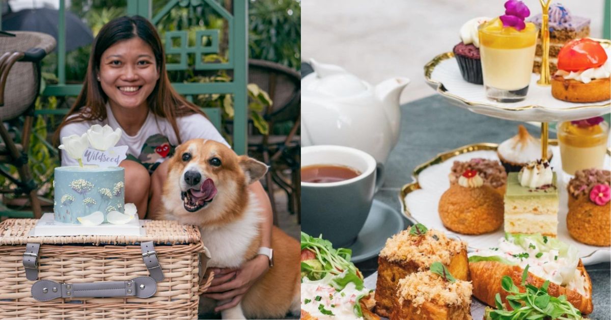 Wildseed Café - Pet-Friendly Café at Telok Blangah with Famous Pastries