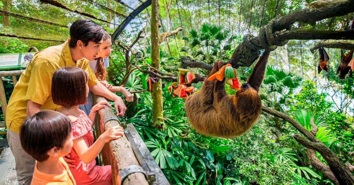 Singapore Zoo - Christmas Gift for Kids Who Love Animals