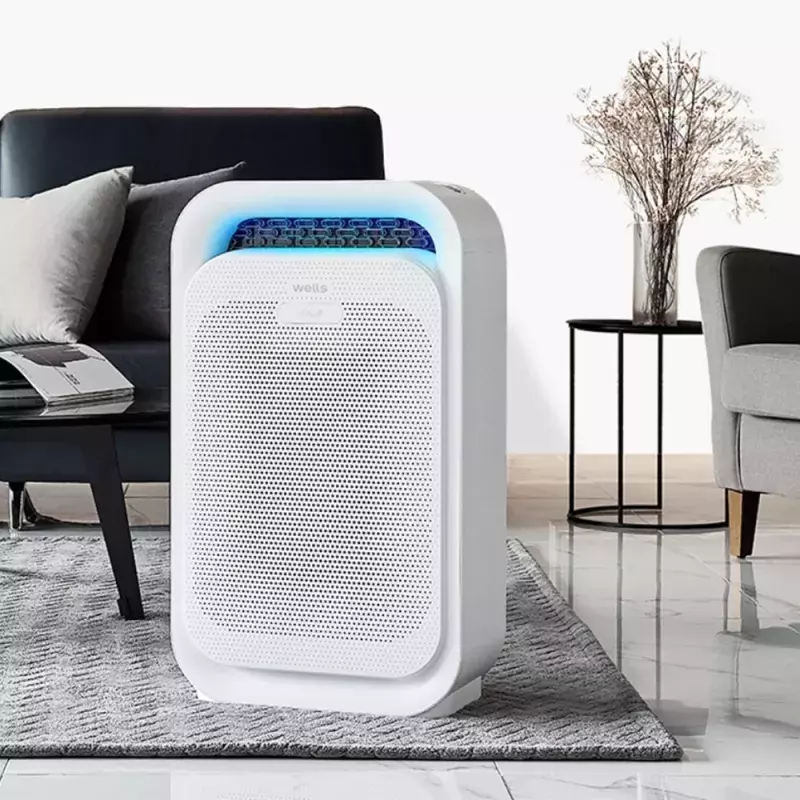 Best Air Purifiers in Singapore 