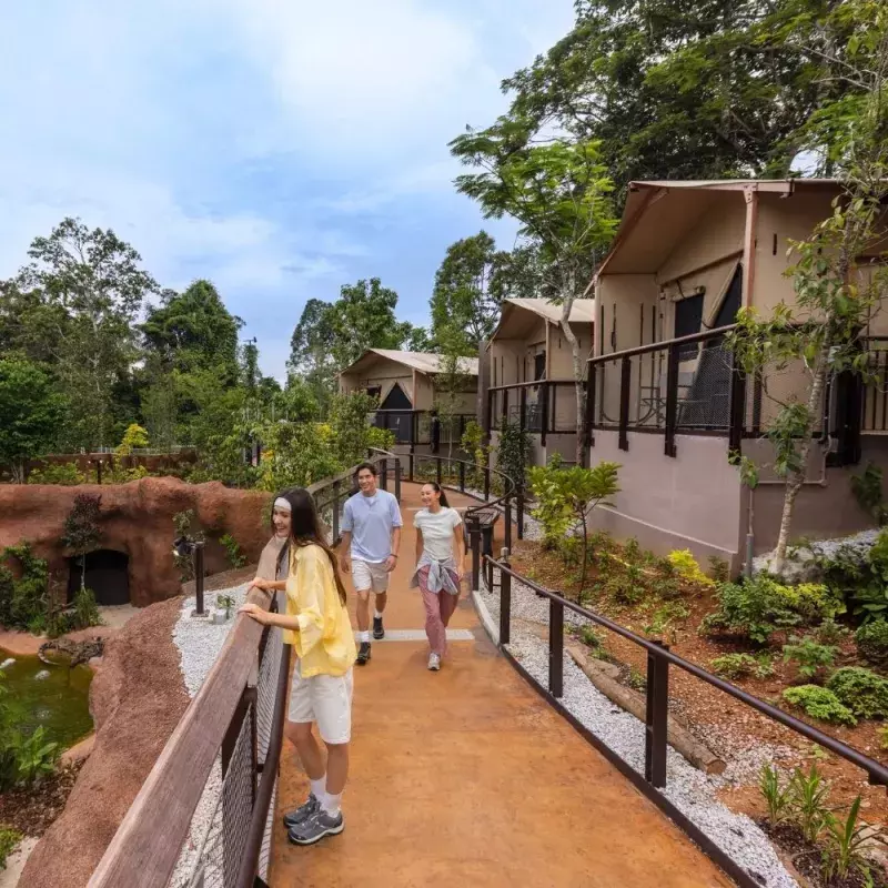 Crocodile Lodge Review