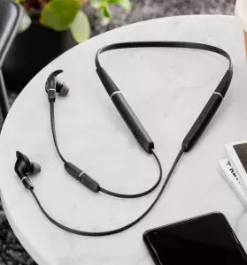Earphones - One for Everyone