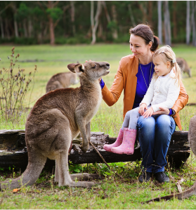 5 Tips to Book a Family Holiday to Fremantle and Swan Valley in Western Australia - Thumbnail
