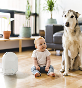 How Can Air Purifiers Help With Allergies, Asthma, and Airborne Irritants?