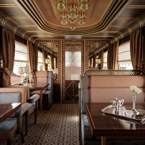 Dream of the Desert Train