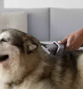 Pet Grooming, Scratch-Free Dusting and The V15 Detect, Dyson’s Most Powerful Cordless Vaccum Yet