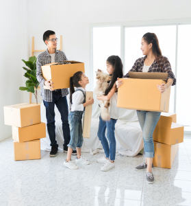 Singapore’s Movers and Packers For a Stress-Free Office or House Move