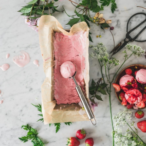 protein ice cream recipes