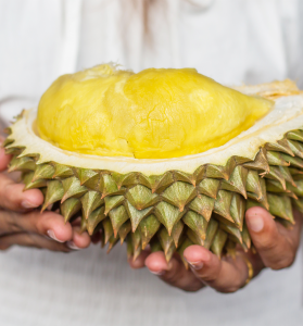 Where To Buy Durians In Singapore - Thumbnail