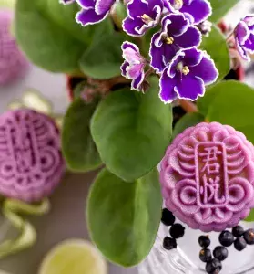 Singapore’s Best Snowskin Mooncakes - Thumb