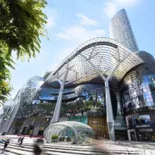 ION Orchard