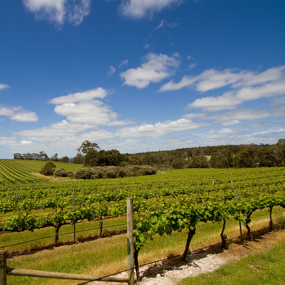 HomeAway on the Wines: A Family Vacation in the Margaret River Region - Thumbnail